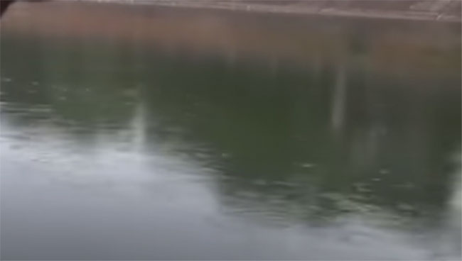 Body of Uni student who drowned while trying to save her boyfriend found