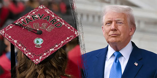 Harvard heads to court to argue Trump administrations $2.6bn cuts were illegal