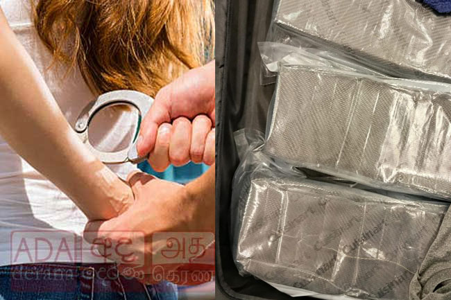 Canadian woman arrested at BIA with 18kg of hashish