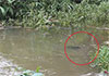 Four-year-old girl dies after falling into canal in Kotagala