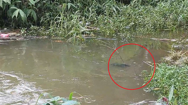 Four-year-old girl dies after falling into canal in Kotagala