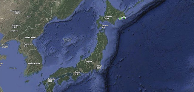 First tsunami waves hit northern Japan