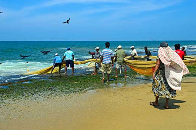 Special insurance scheme introduced for fishing community 
