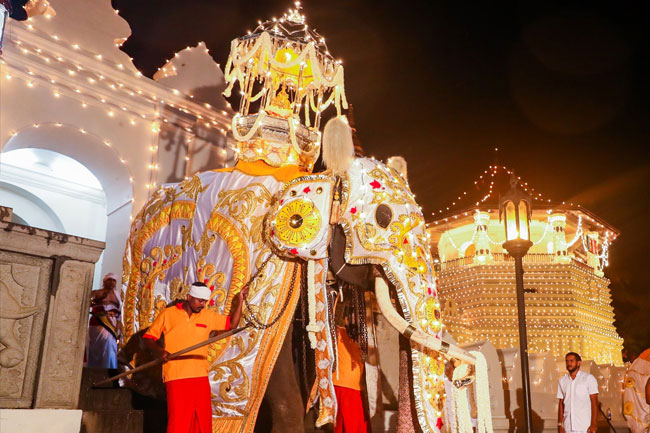 Final Kumbal Perahera of Kandy Esala Festival to take to the streets tonight