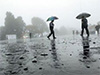 Afternoon showers expected in several areas