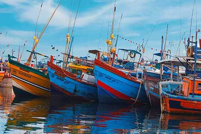Island-wide fishing vessel census to commence today