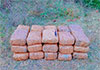 Kerala cannabis valued over Rs. 23 million seized in Jaffna