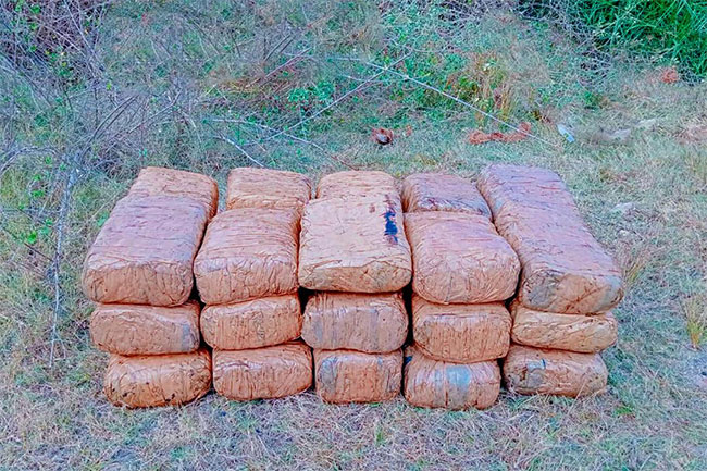 Kerala cannabis valued over Rs. 23 million seized in Jaffna