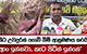 කීට උවදුරක් ගොවි බිම් ආක්‍රමණය කරයි.. - 'ආං ඉන්නවා.. කැට පිටින් ඉන්නේ'