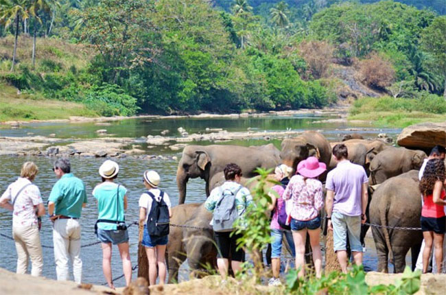 Over 77,000 tourists arrive in first 10 days of August
