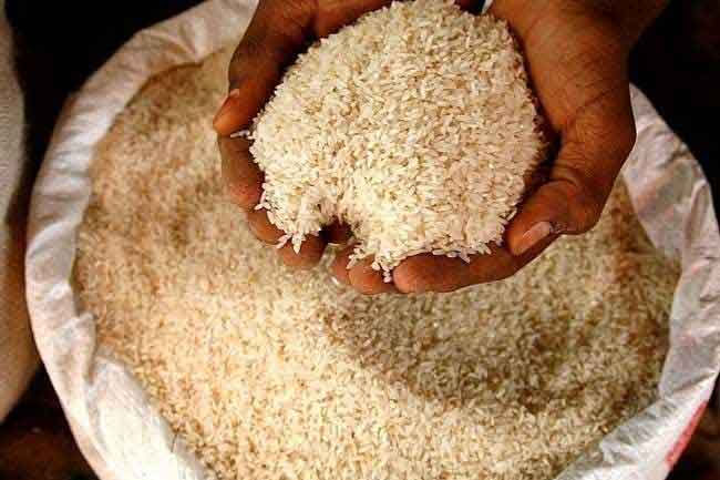 Govt may import substitute if Keeri Samba shortage persists  Minister