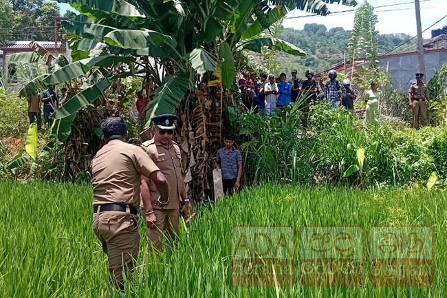 Naked body found in paddy field in Badulla