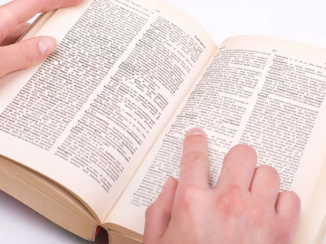 Skibidi and tradwife among words added to Cambridge Dictionary