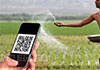 Govt mulls using QR code to disburse fertilizer subsidies to farmers