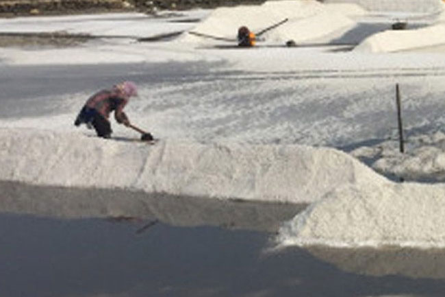 Govt to seek bids to reopen Elephant Pass  North Saltern under PPP model