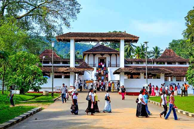 Ishan Sanka Mapitigama elected Basnayake Nilame of Sabaragamuwa Maha Saman Devalaya