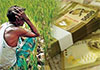 Ministry introduces affordable crop insurance scheme for farmers