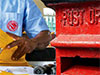 Postal trade unions end strike action