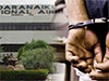 Two nabbed at BIA with smartphones worth Rs. 100M 
