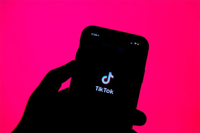 Egypt rounds up teenaged TikTokkers in crackdown on social media