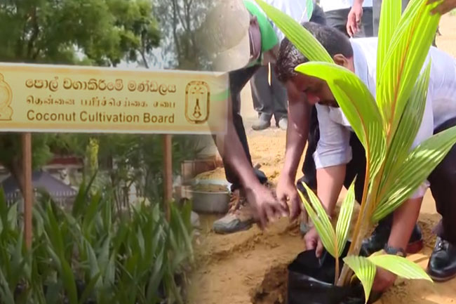 First coconut seed production unit in North launched by President