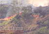 Fire breaks out in Buttala Yudaganawa mountain reserve