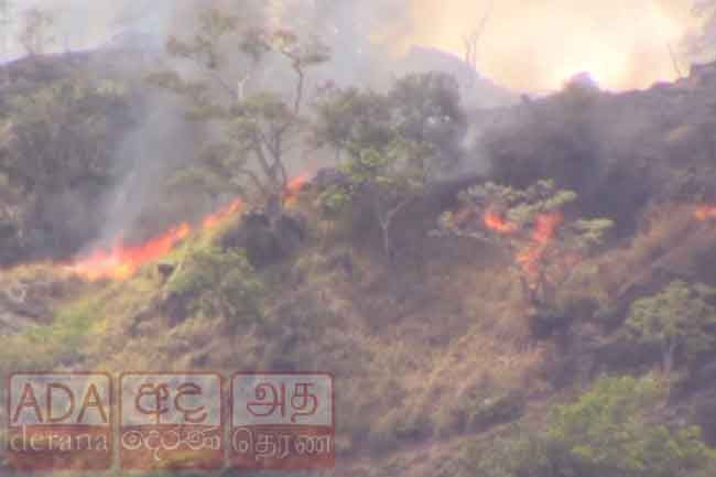 Fire breaks out in Buttala Yudaganawa mountain reserve