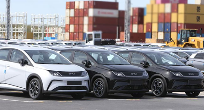 Customs agrees to release 506 BYD electric vehicles