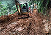 No approval for road construction through Sinharaja Forest  Environment Minister