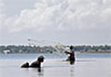 Sri Lanka to protect fish resources in 250 reservoirs