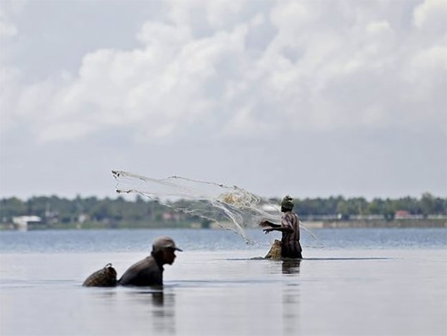 Sri Lanka to protect fish resources in 250 reservoirs
