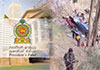 Presidents Fund to provide Rs. 1 mln compensation for victims ofEllabuscrash