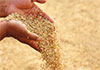 Over 40,000 MT of paddy purchased under govt program  PMB