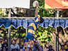 Royal claims Bradby Shield despite Trinity winning second leg