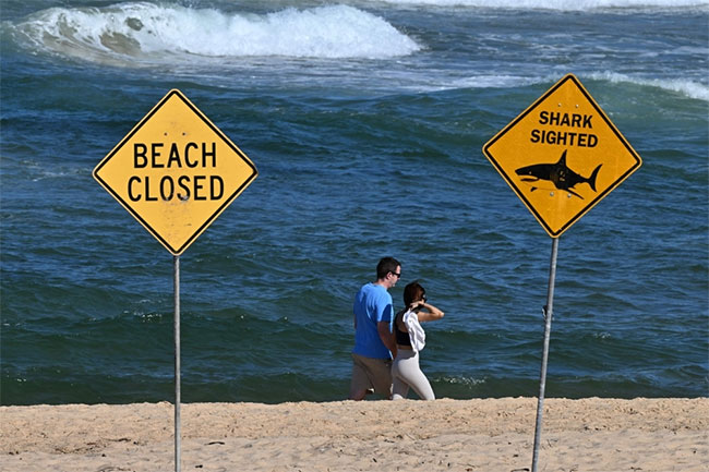 Popular Sydney beach deploys drones, helicopter after fatal shark attack