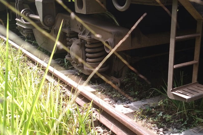 Podi Manike derails between Haliela and Badulla stations 