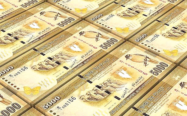 Sri Lankas GDP growth for 2025 expected at 3.1% - FinMin officials