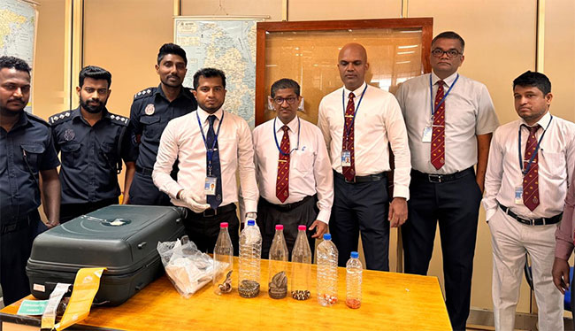 Six live exotic snakes found in female passengers luggage at BIA