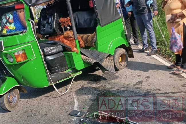 Seven including pre-school children injured in Norwood accident