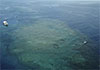 Rising oceans to threaten 1.5 million Australians by 2050: Report