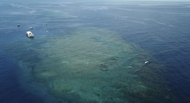 Rising oceans to threaten 1.5 million Australians by 2050: Report