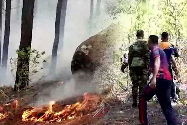 Army deployed to contain fire in Nonpareil Reserve, over 1,000 acres of land destroyed