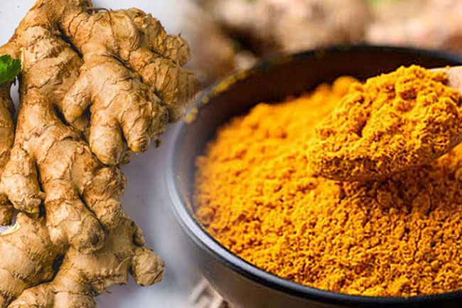 Special insurance scheme introduced for commercial ginger and turmeric cultivation
