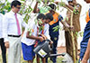 Second phase of Clean Sri Lanka Urban Forest Project launched in Thotalaga