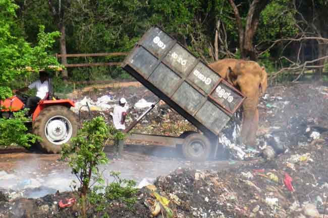 Dambulla Waste Management Facility no longer operational 