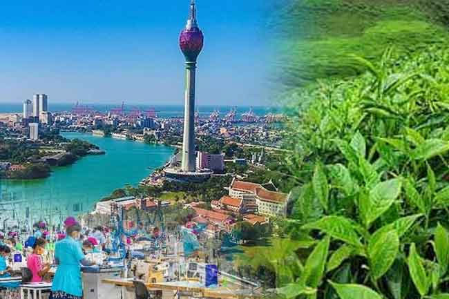 Sri Lankas economy records mixed sectoral growth in Q2 2025
