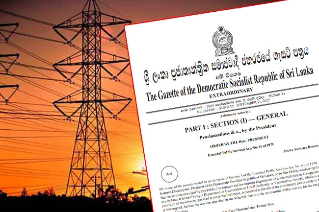 Gazette issued declaring services related electricity supply as essential public services