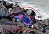 Naked body of man washes ashore at beach in Moratuwa