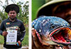 Sri Lankan anglers join fight against invasive giant snakehead fish