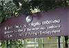 Insurance compensation for death of migrant worker increased